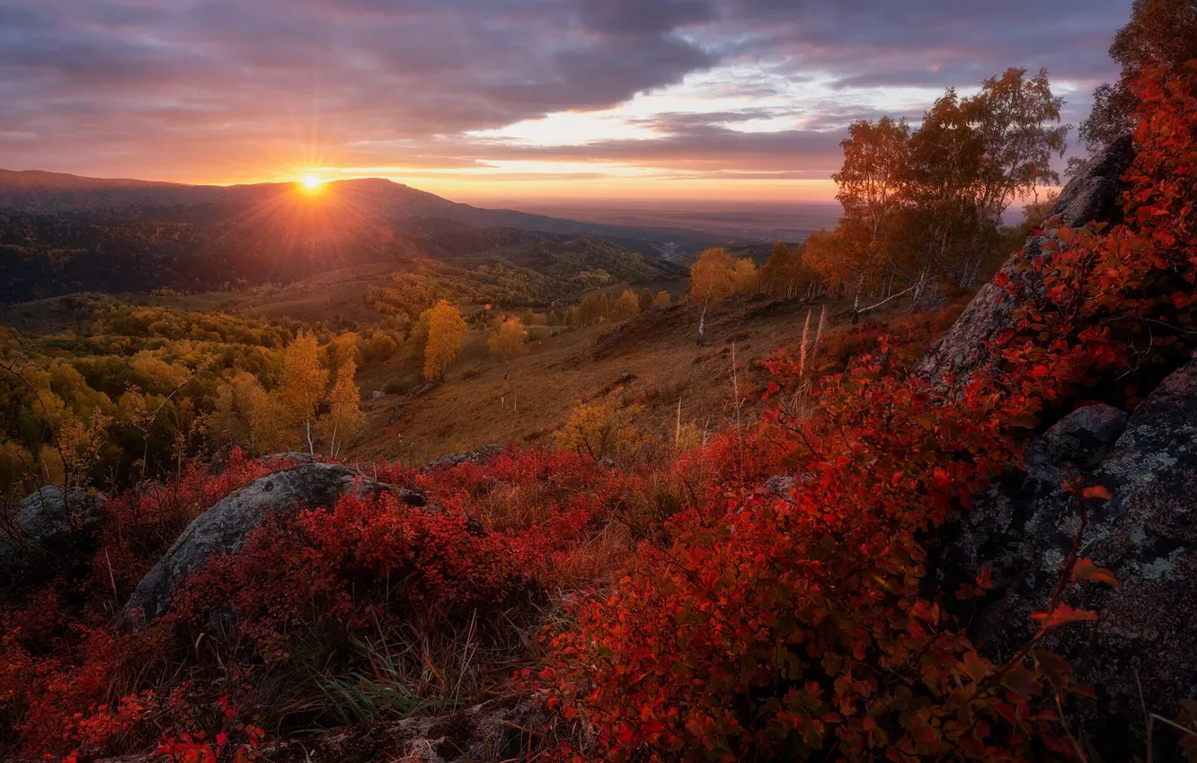 Фото обои осень, солнце, лучи, деревья, пейзаж, закат, горы, природа