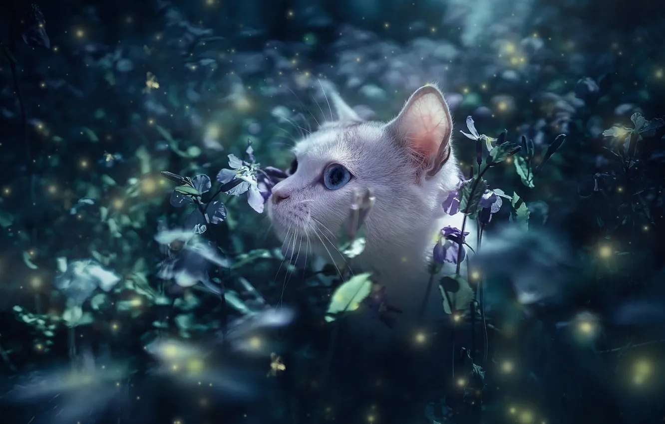Фото обои кошка, кот, листья, цветы, природа, светлячки, животное, заросли