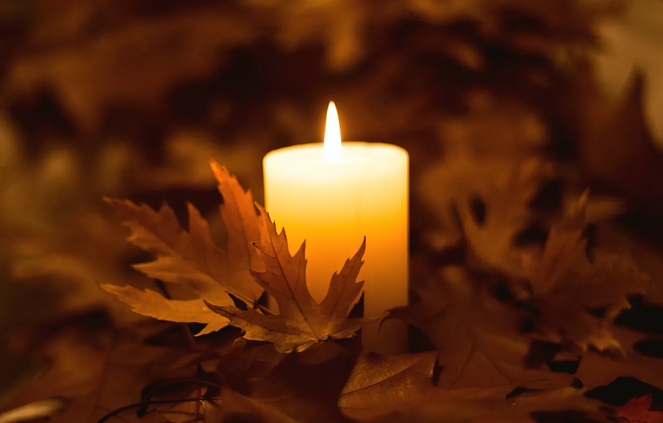 Фото обои осень, листья, огонь, свеча