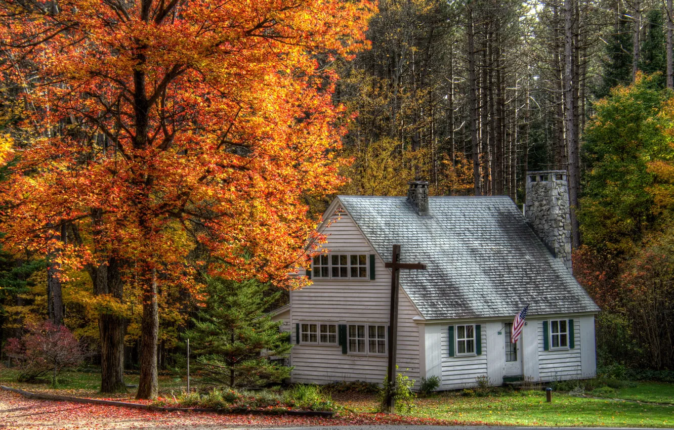 Фото обои осень, деревья, город, дом, фото, США, Marshfield