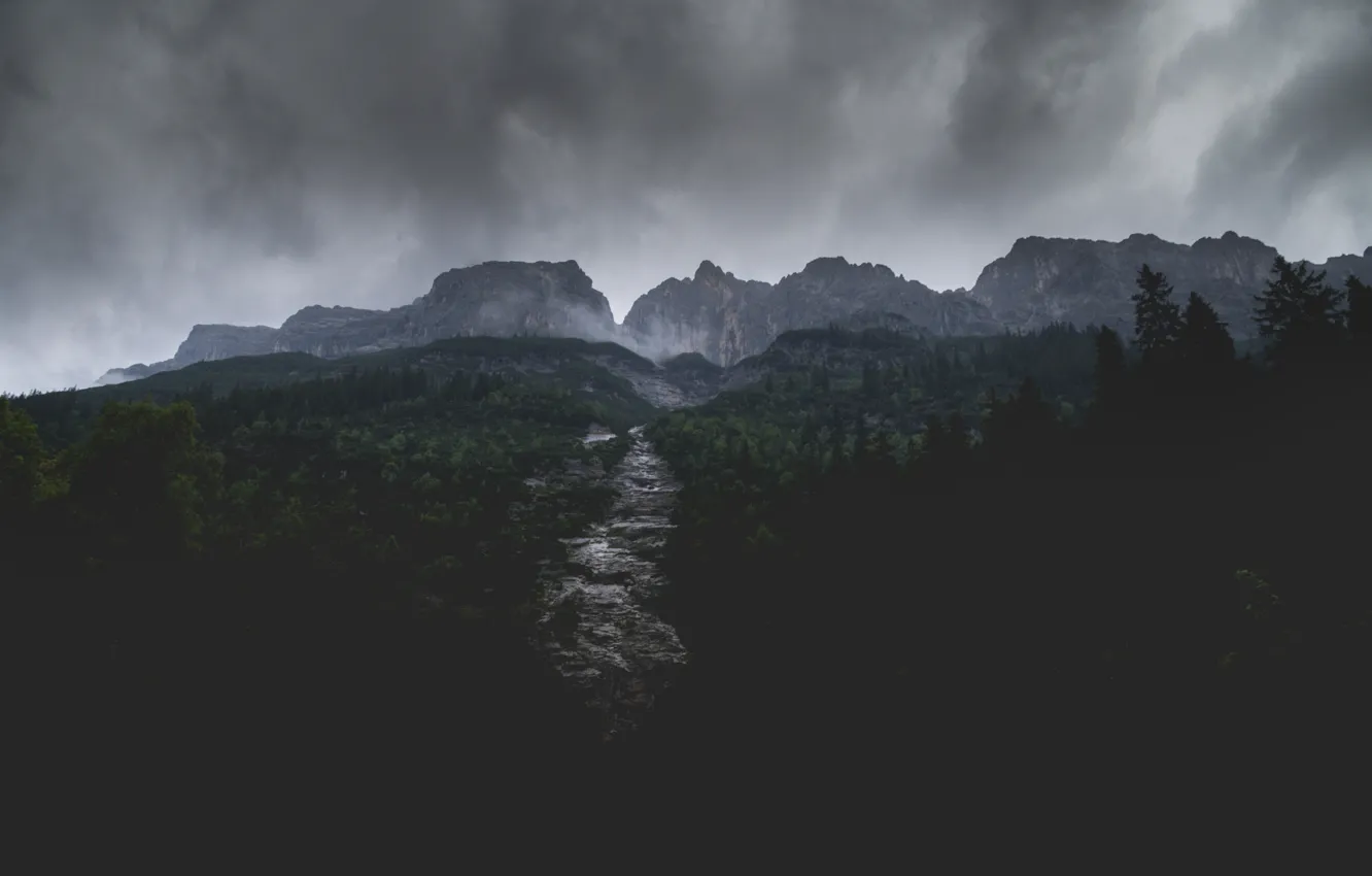 Фото обои Dark, German, Nature, Clouds, Wood, Germany, Rain, Trees