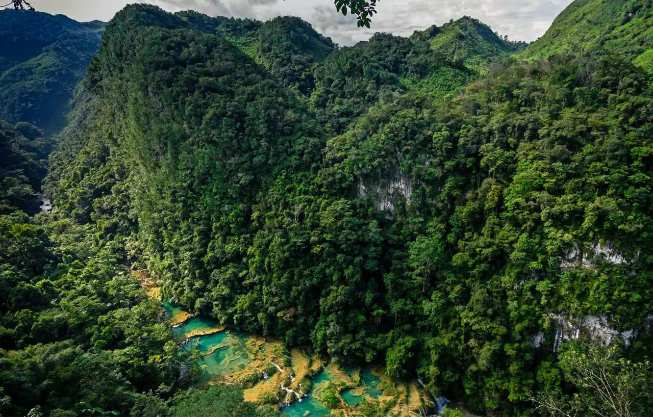 Фото обои лес, скалы, каскад, Гватемала, Национальный парк, Semuc Champey