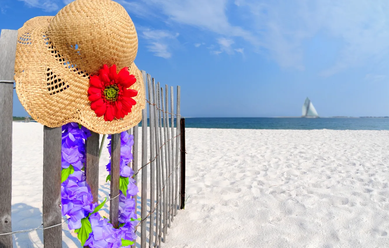 Фото обои песок, пляж, небо, облака, пейзаж, цветы, шляпа, летом