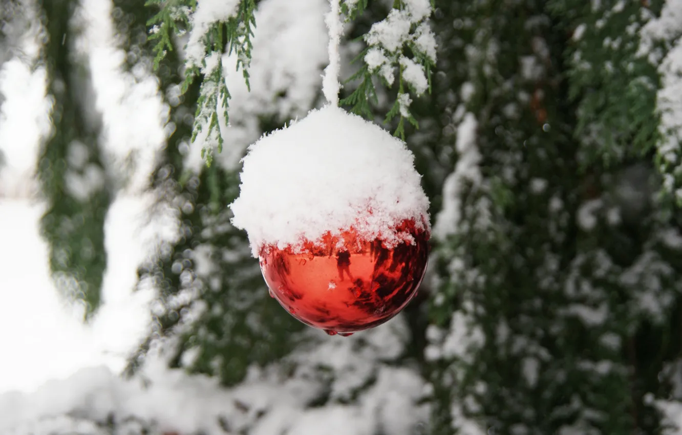 Фото обои снег, ветки, отражение, ёлочная игрушка