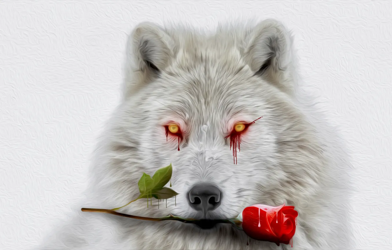 Фото обои белый, глаза, кровь, роза, волк
