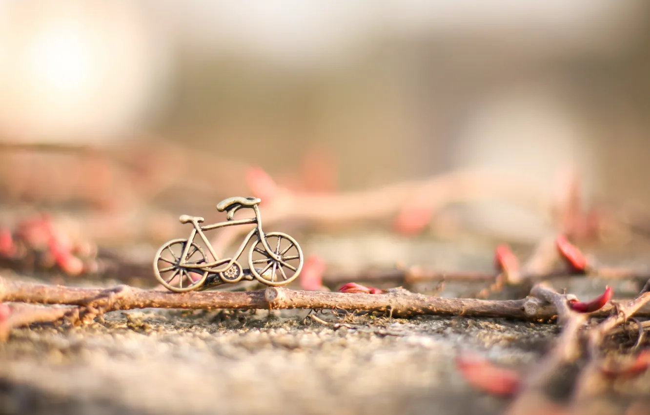 Фото обои велосипед, фон, игрушка