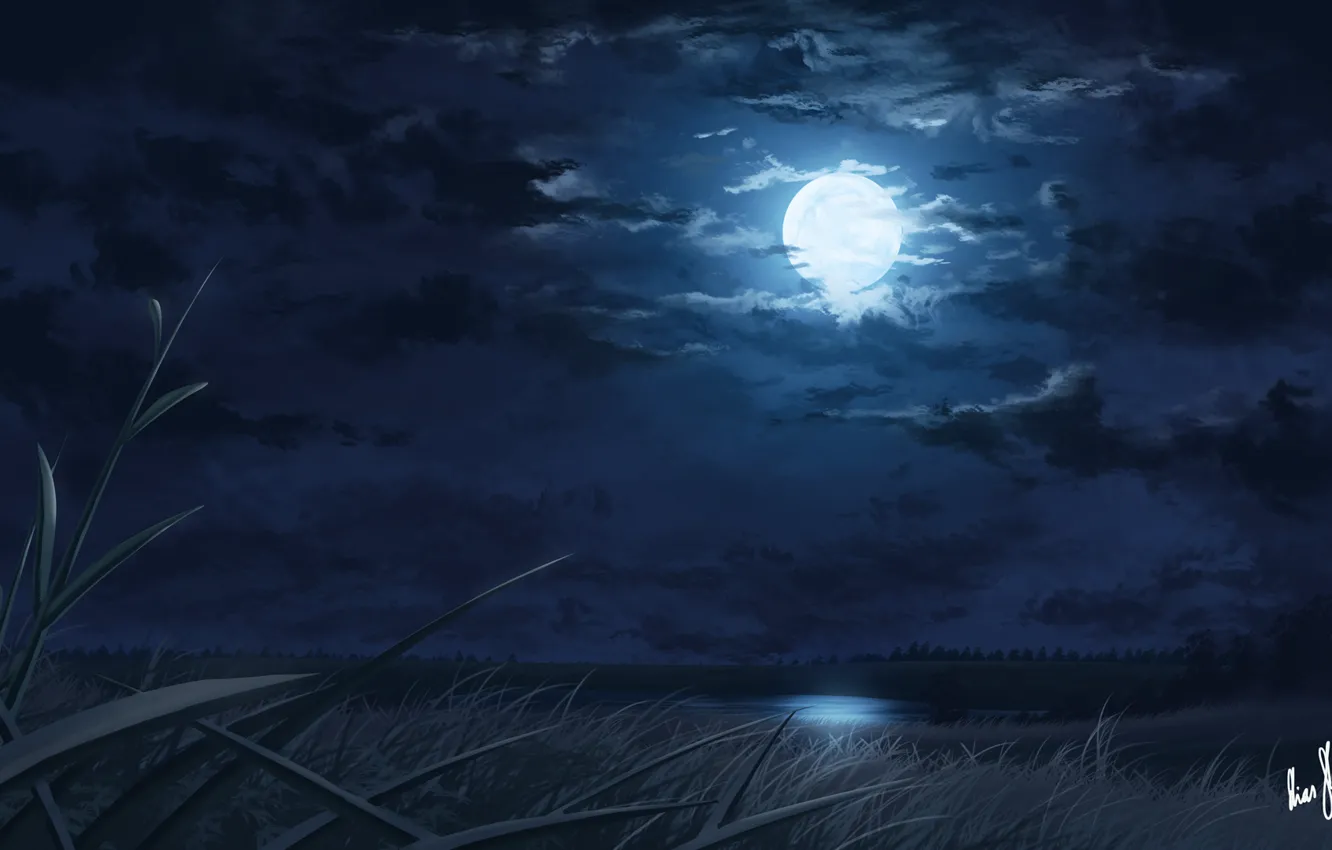 Фото обои ночь, озеро, камыши, луна, арт