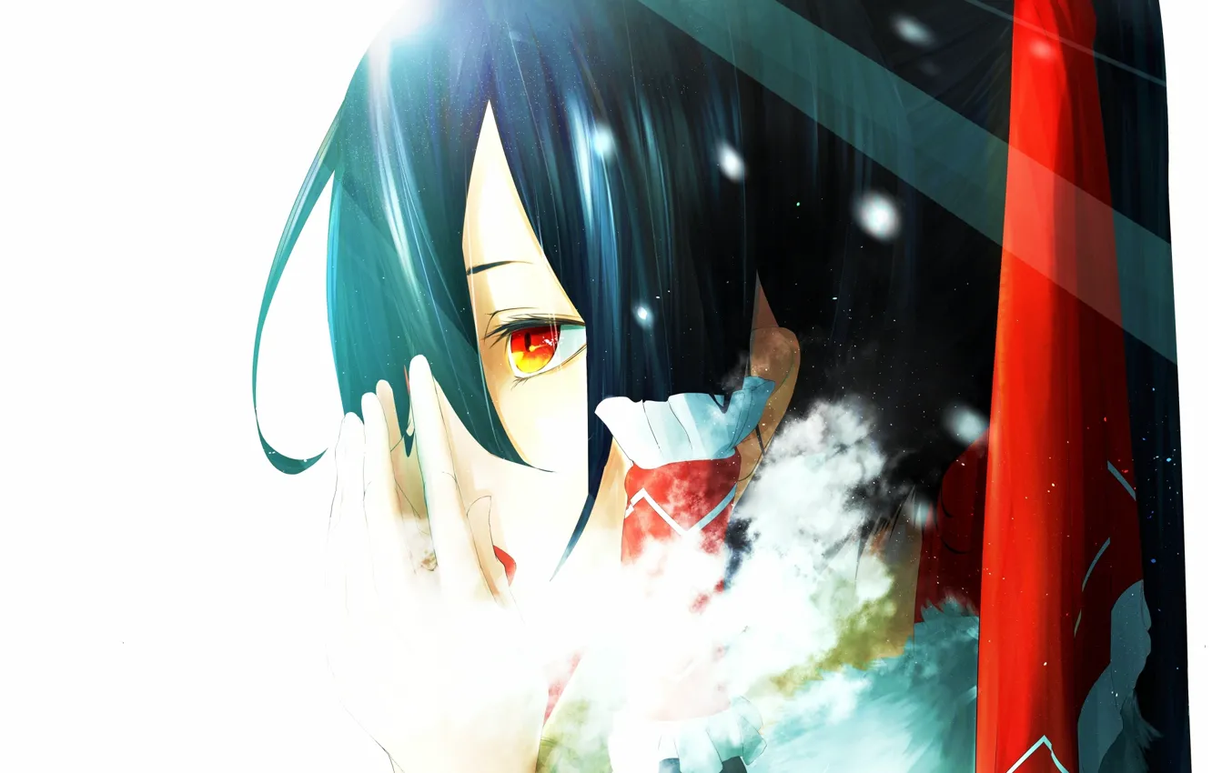 Фото обои холод, девушка, снег, аниме, арт, мех, touhou, hakurei reimu
