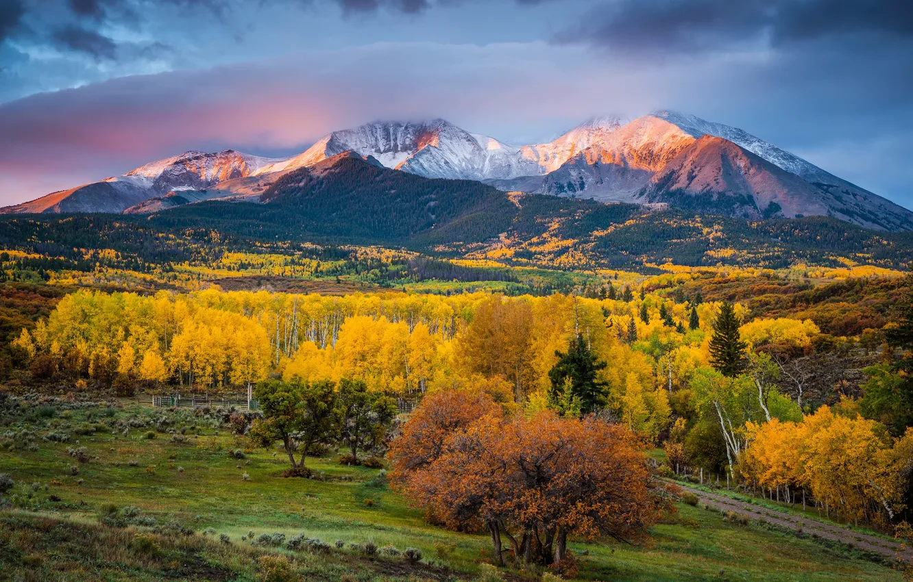 Фото обои осень, свет, деревья, горы, краски, утро, Колорадо, США