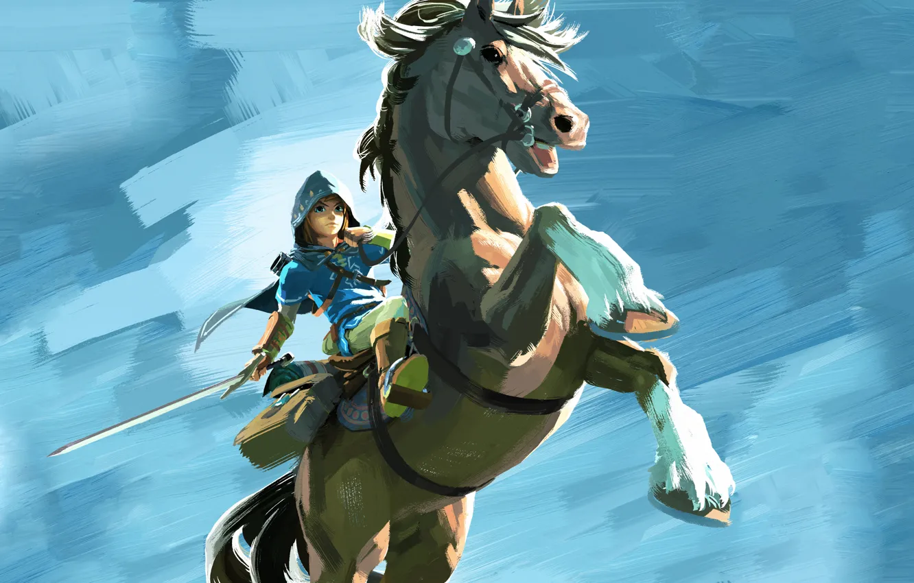 Фото обои Nintendo, Game, Link, The Legend Of Zelda: Breath Of The Wild, TheVideoGamegallery.com