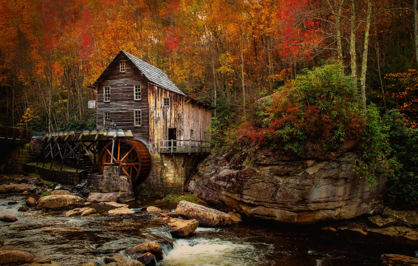 Фото обои осень, река, мельница