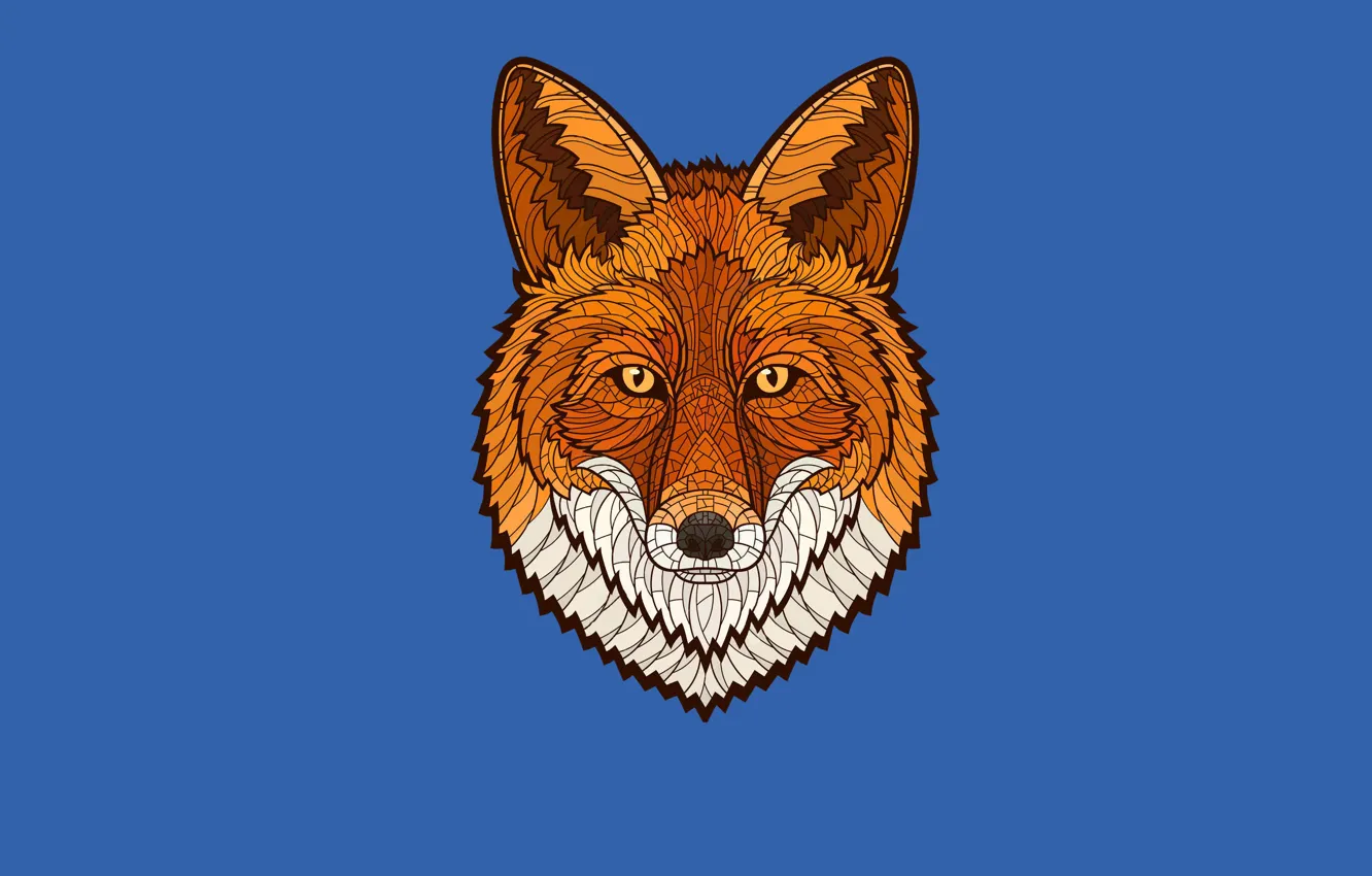 Фото обои морда, минимализм, лиса, fox