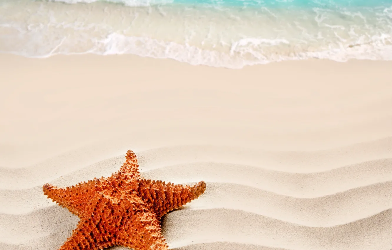 Фото обои песок, пляж, лето, Море, beach, sea, nature, sand