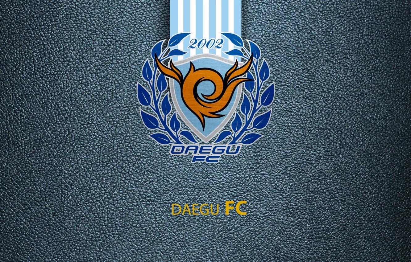 Фото обои wallpaper, sport, logo, football, Daegu
