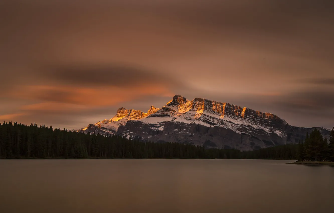 Фото обои лес, свет, деревья, горы, ночь, озеро, Национальный парк, Banff