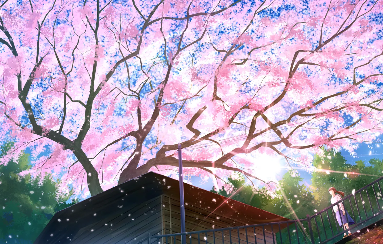 Фото обои крыша, дом, дерево, весна, сакура, мостик