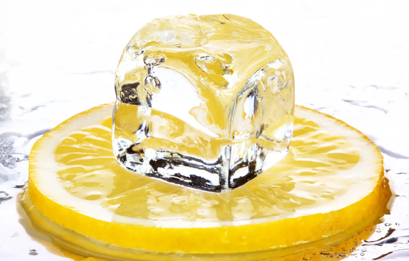 Фото обои лед, лимон, кубики, еда, цитрус, food, citrus, ice cubes