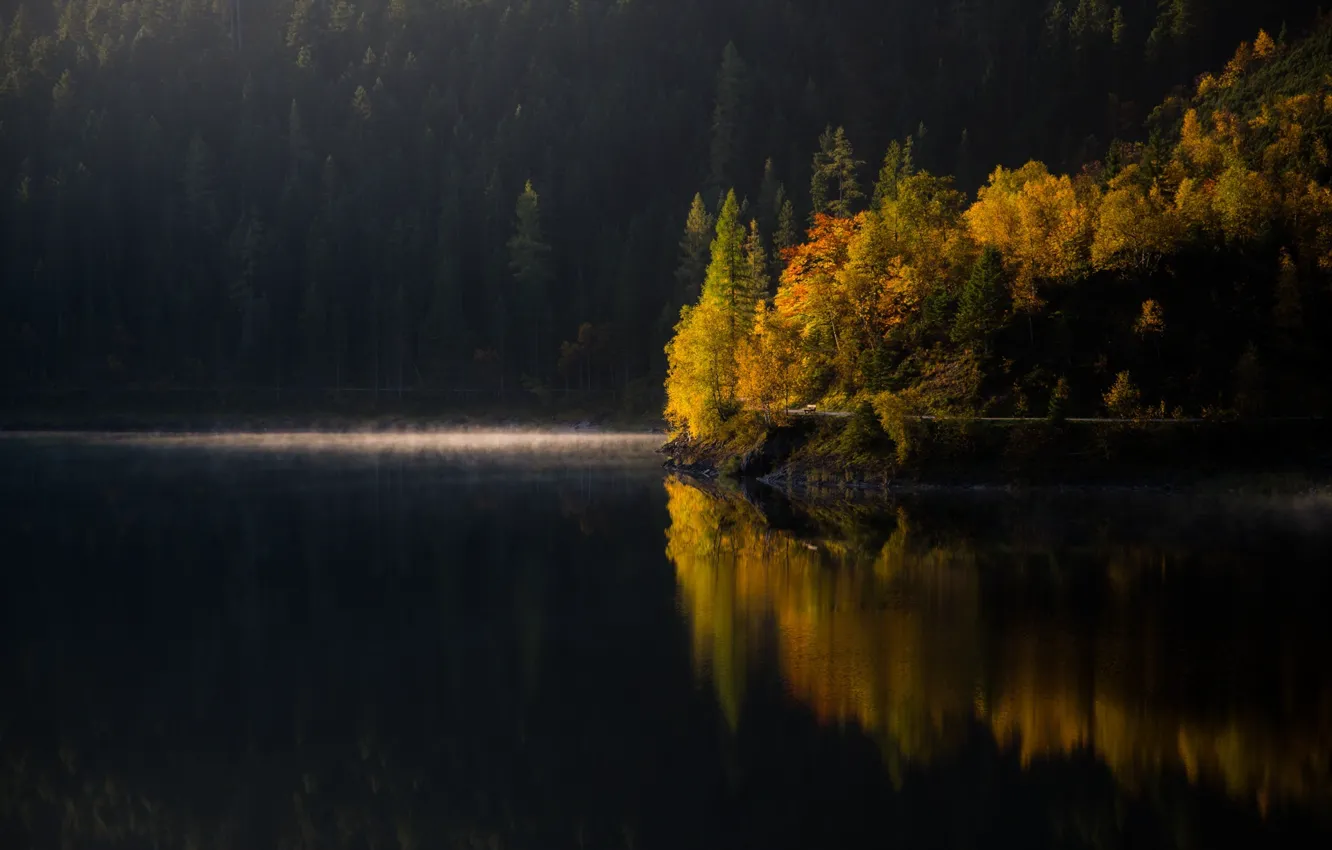 Фото обои осень, лес, деревья, озеро, утро