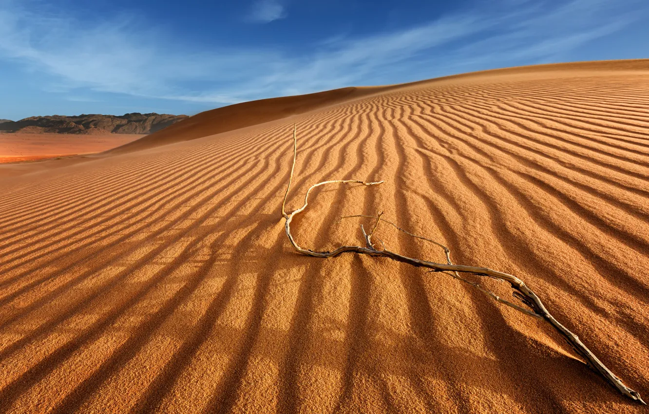 Фото обои песок, небо, облака, барханы, пустыня, ветка, дюны
