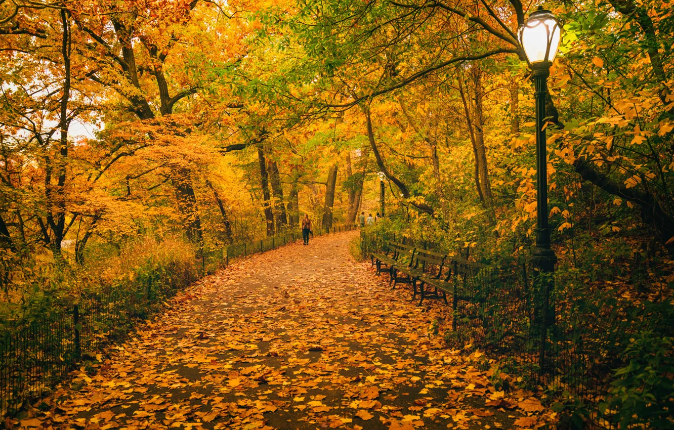Фото обои осень, листья, деревья, путь, люди, Нью-Йорк, скамейки, Центральный парк