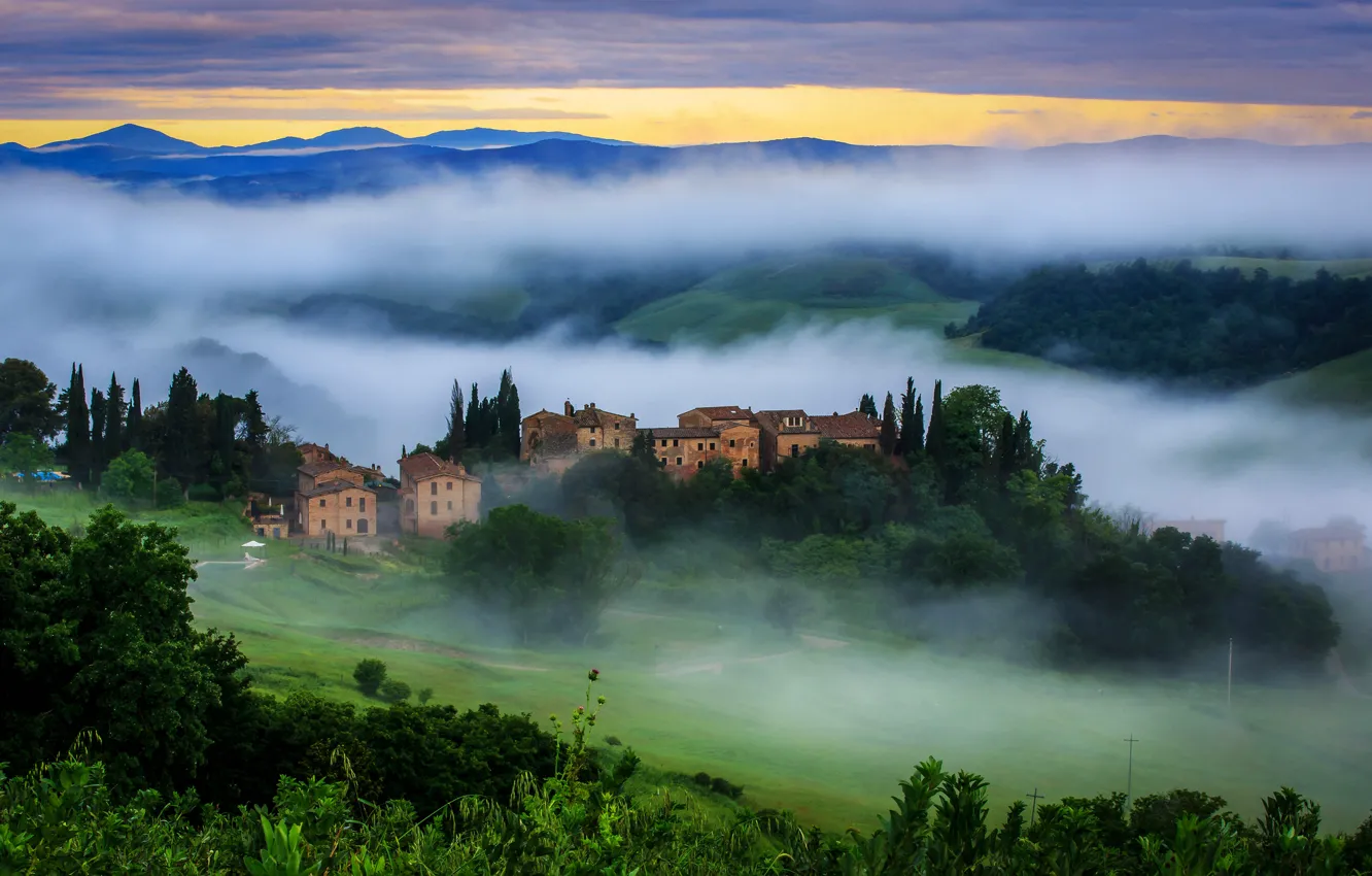Фото обои зелень, солнце, деревья, природа, туман, восход, утро, Италия