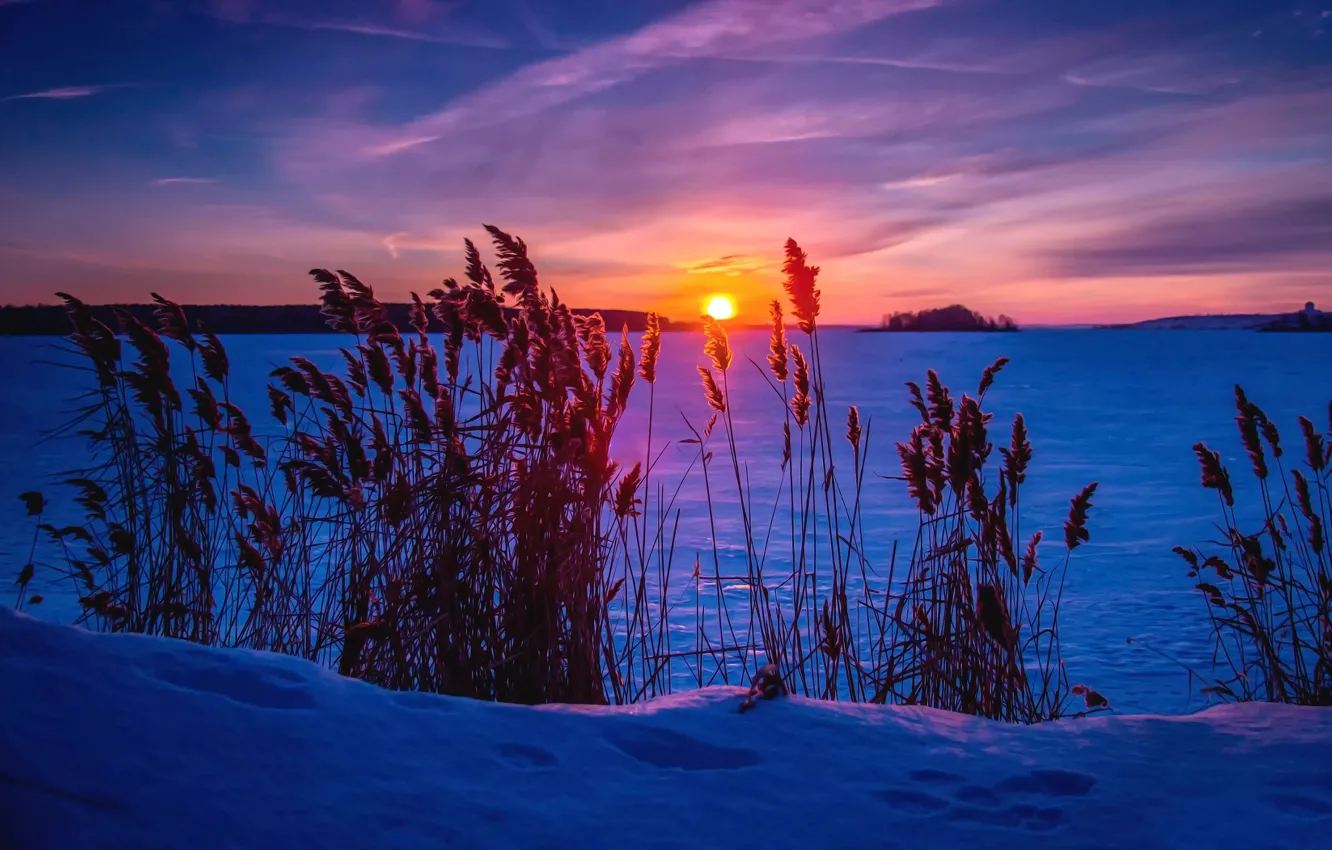 Фото обои зима, снег, обработка, Frosty sunset