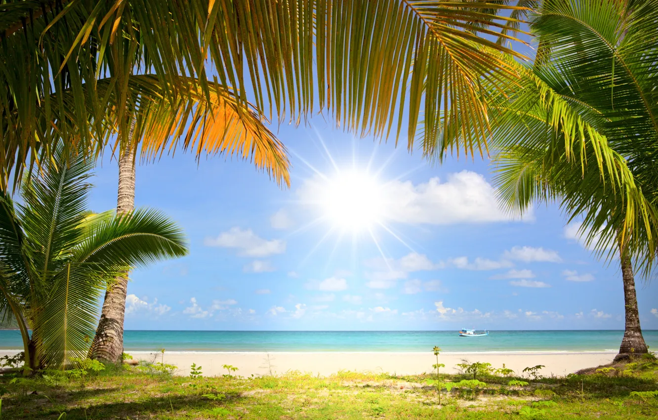 Фото обои песок, море, солнце, пальмы, побережье, кораблик