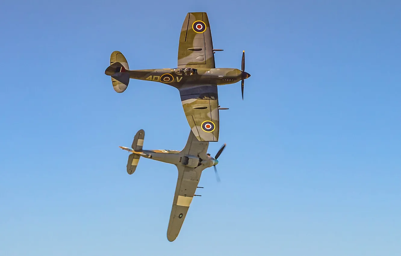 Фото обои fighter, plane, RAF, Royal Air Force, aeroplane, military aviation, Spitfire Hurricane