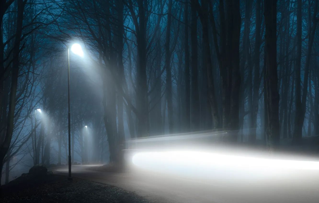 Фото обои дорога, лес, свет, деревья, ночь, ветки, туман, темнота