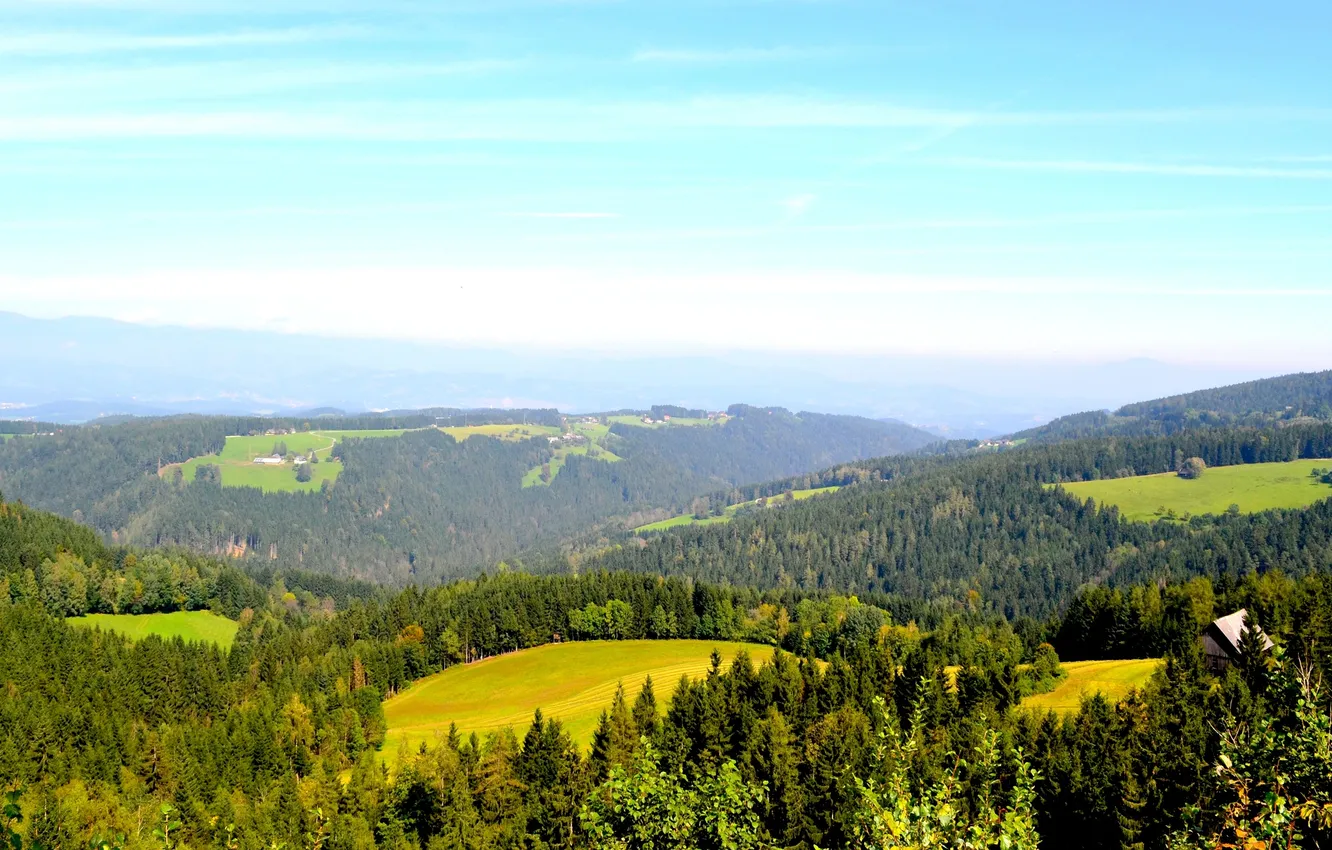 Фото обои лес, деревья, горы, поля, Австрия, домики, луга