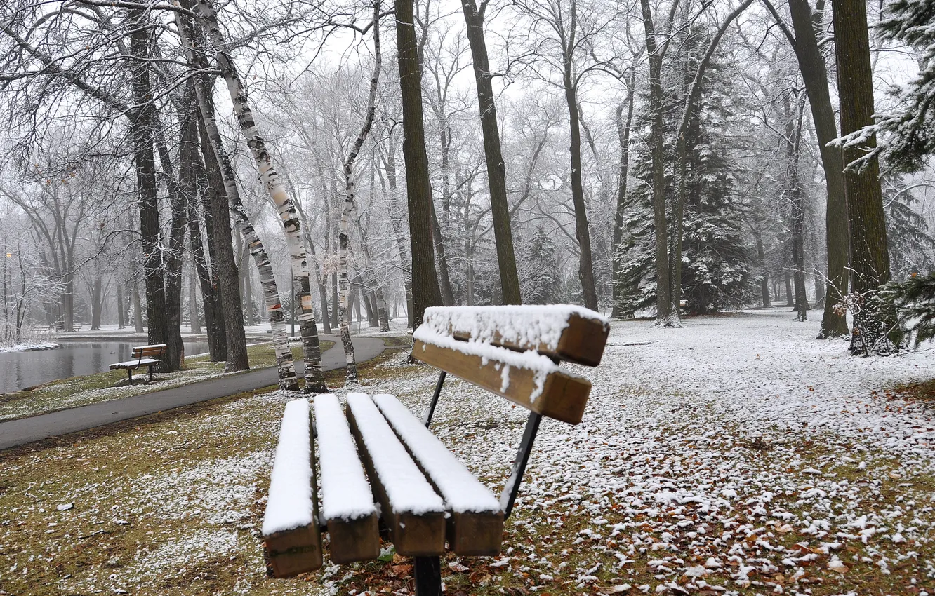 Фото обои зима, осень, снег, деревья, скамейка, туман, пруд, парк