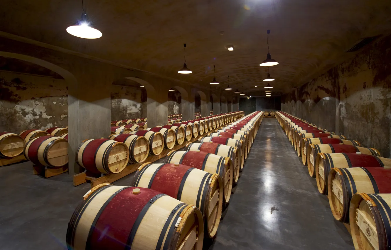 Фото обои Cave, Wine, Barrel, Margaux, Oak casks