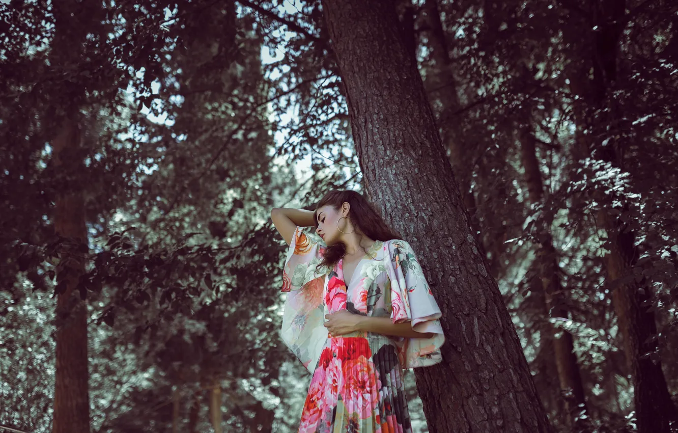 Фото обои лес, девушка, лицо, дерево, волосы, платье, красавица, яркое