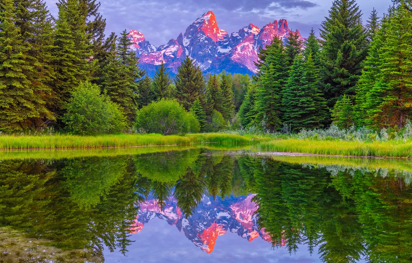 Фото обои лес, пейзаж, горы, озеро, США, Grand Teton National Park