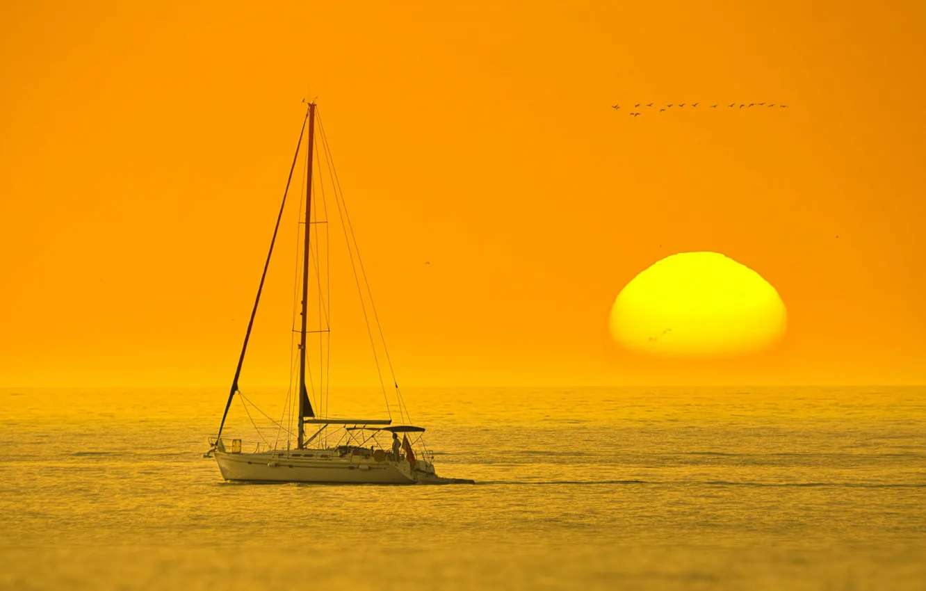 Фото обои море, солнце, закат, яхта, горизонт