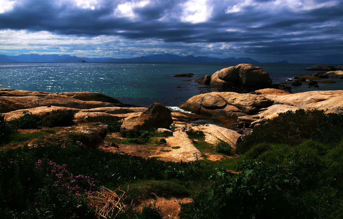 Фото обои небо, камни, побережье, горизонт, South Africa, Южная Африка, Cape Town, Кейптаун