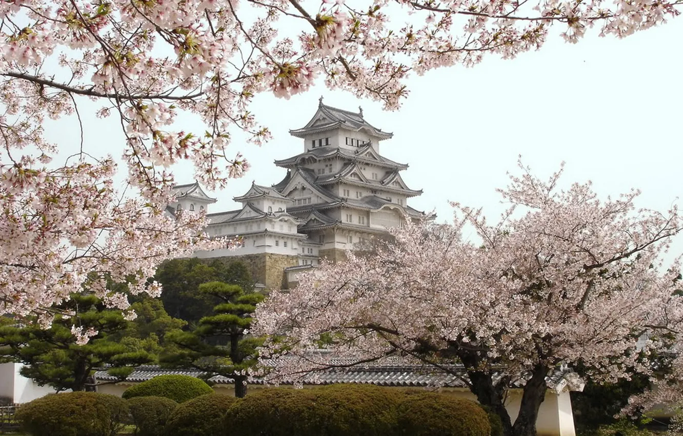 Фото обои замок, Япония, Japan, цветение, Himedzi
