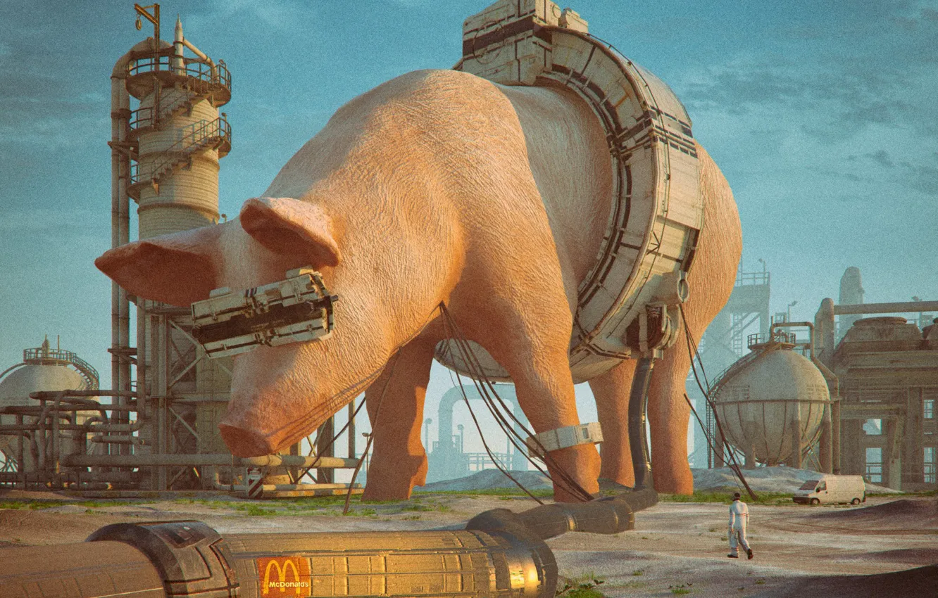 Фото обои транспорт, завод, человек, свинья, MCD 2085