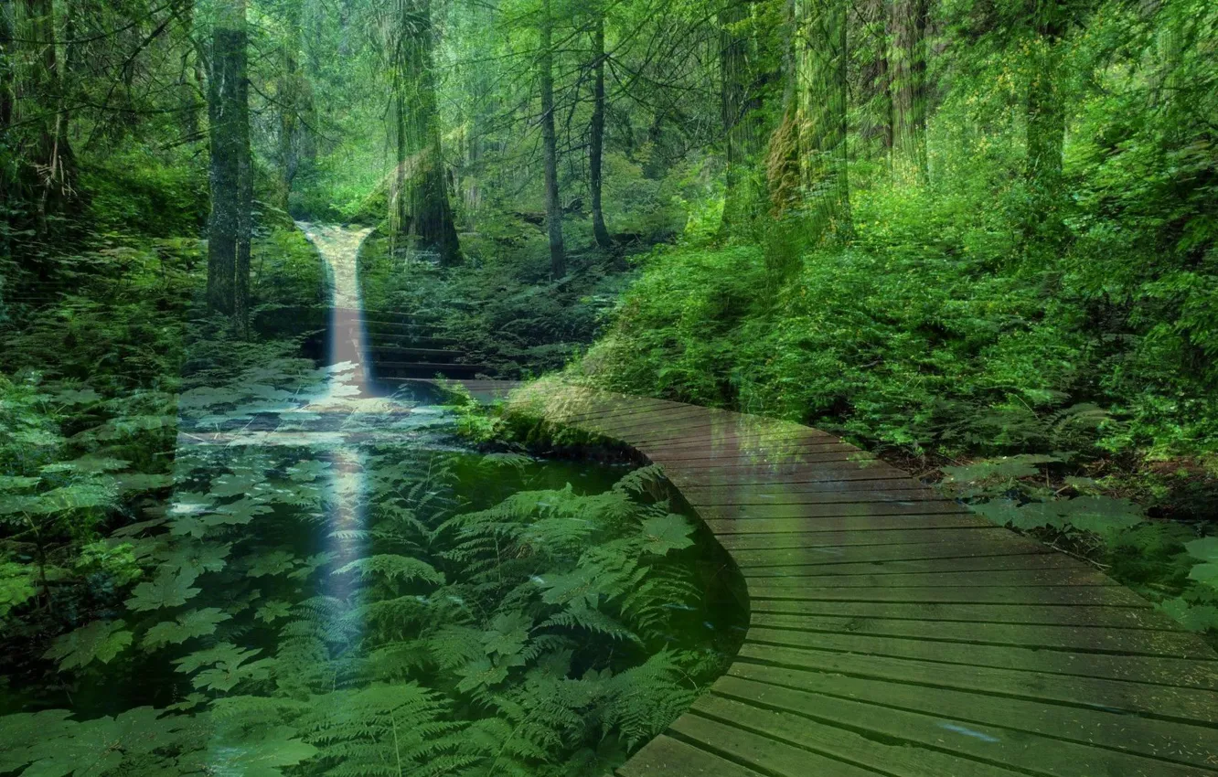 Фото обои forest, nature, bridge, water, park, waterfall, pond, stairs