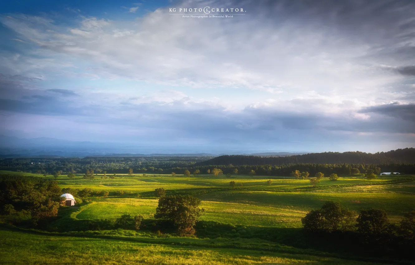 Фото обои поле, лес, небо, горы, природа