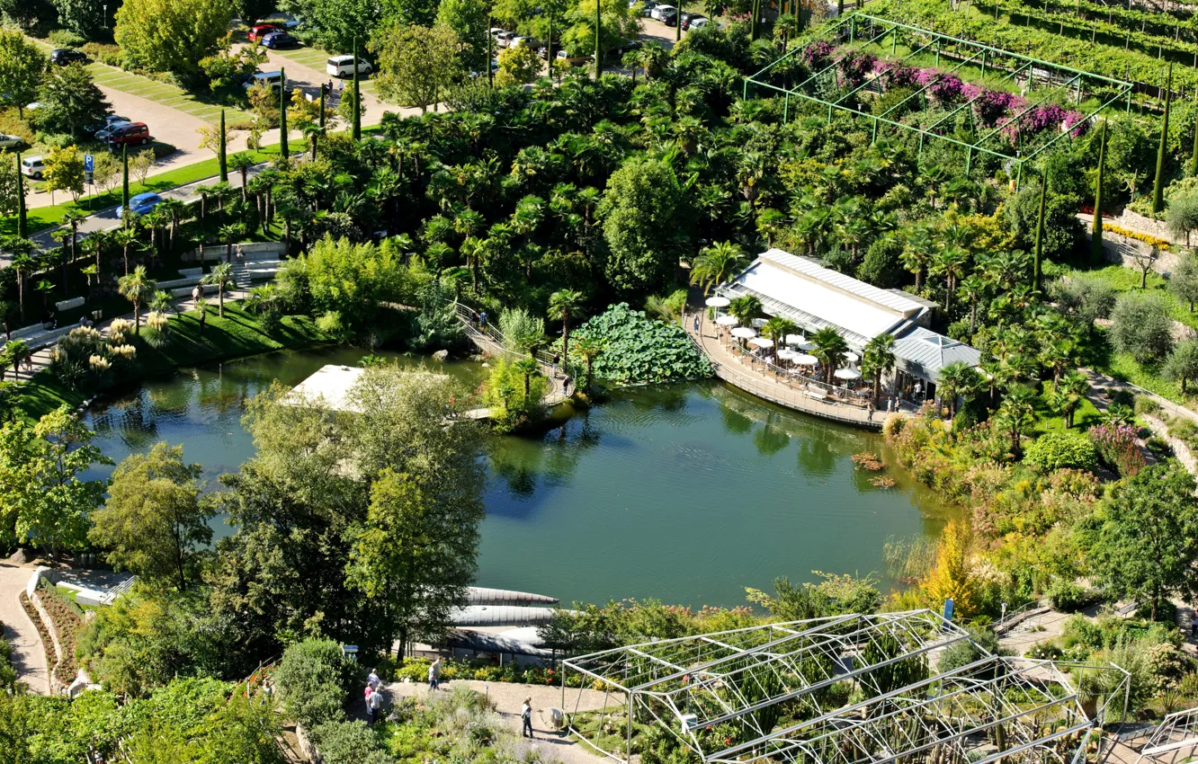 Фото обои деревья, пруд, парк, пальмы, сад, Италия, вид сверху, Trauttmansdorff Castle Gardens