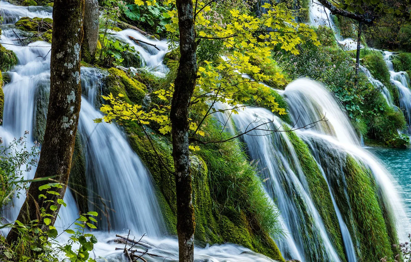 Фото обои зелень, водопад, Хорватия, Плитвицкие озера
