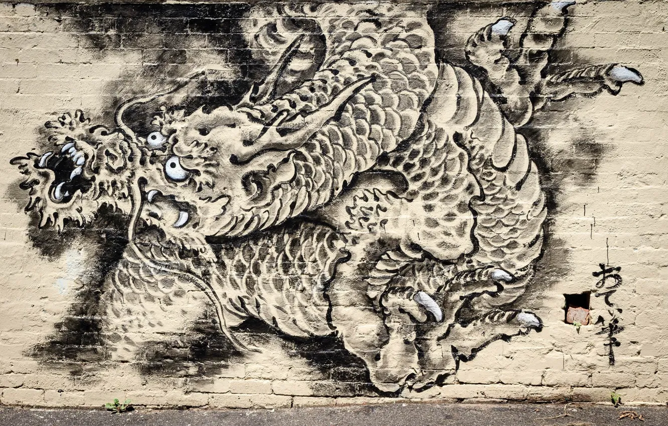Фото обои стена, граффити, дракон, Graffiti