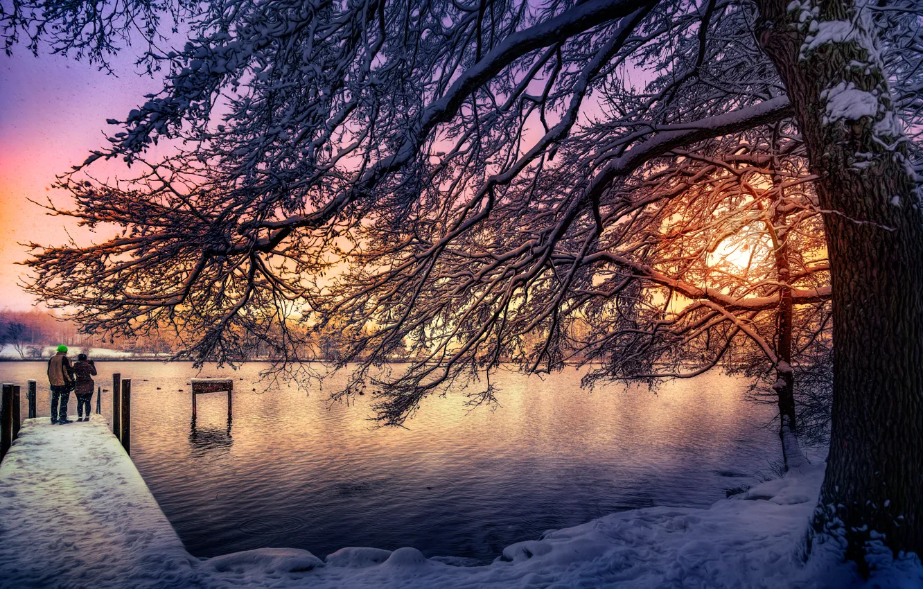 Фото обои солнце, снег, дерево, обработка, Швейцария, Katzensee