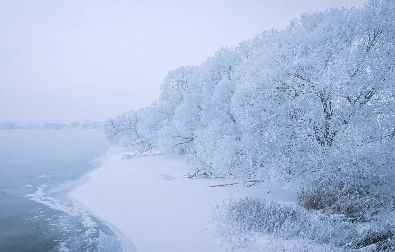 Фото обои снег, деревья, озеро, берег, Сергей Полетаев, Sergei Poletaev