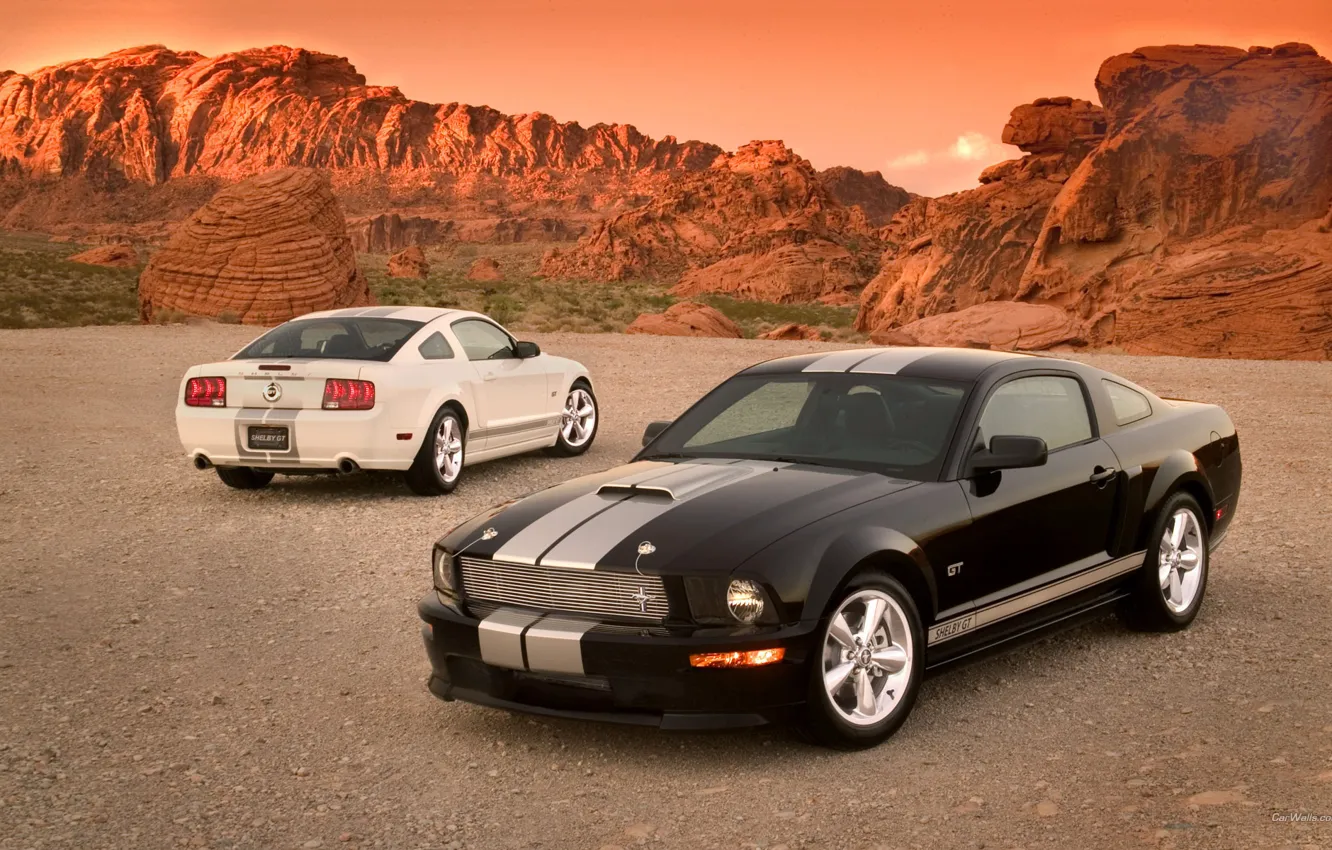 Фото обои скалы, пустыня, гравий, shelby gt