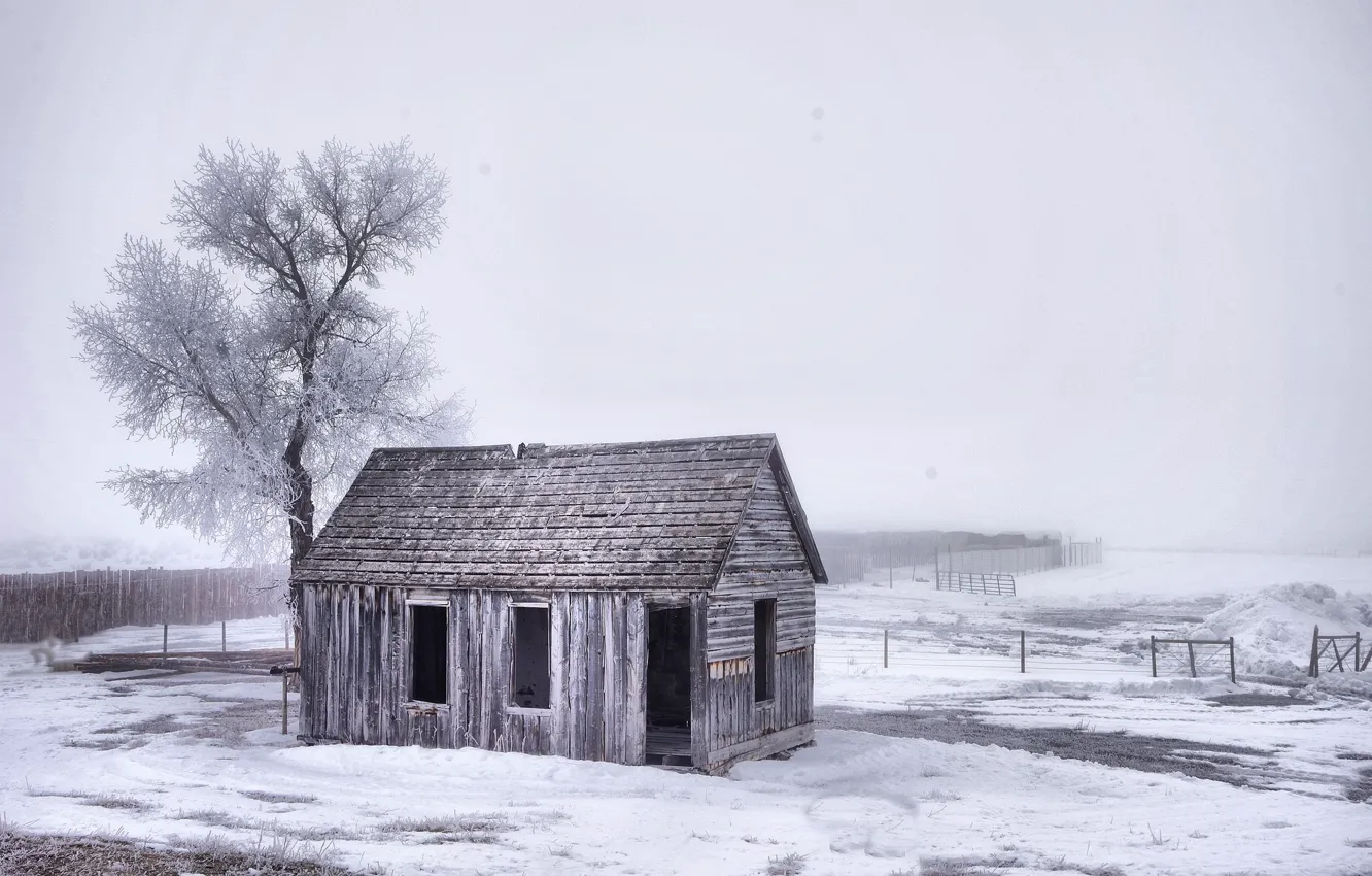 Фото обои зима, дом, забор