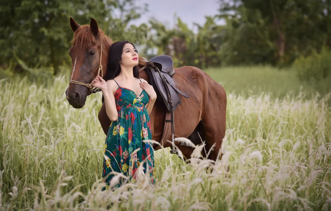 Фото обои поле, лето, лицо, конь, лошадь, азиатка