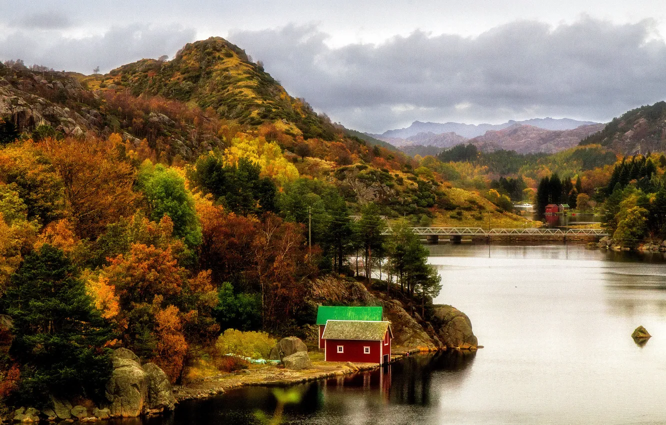 Фото обои осень, лес, деревья, горы, река, камни, берег, Норвегия