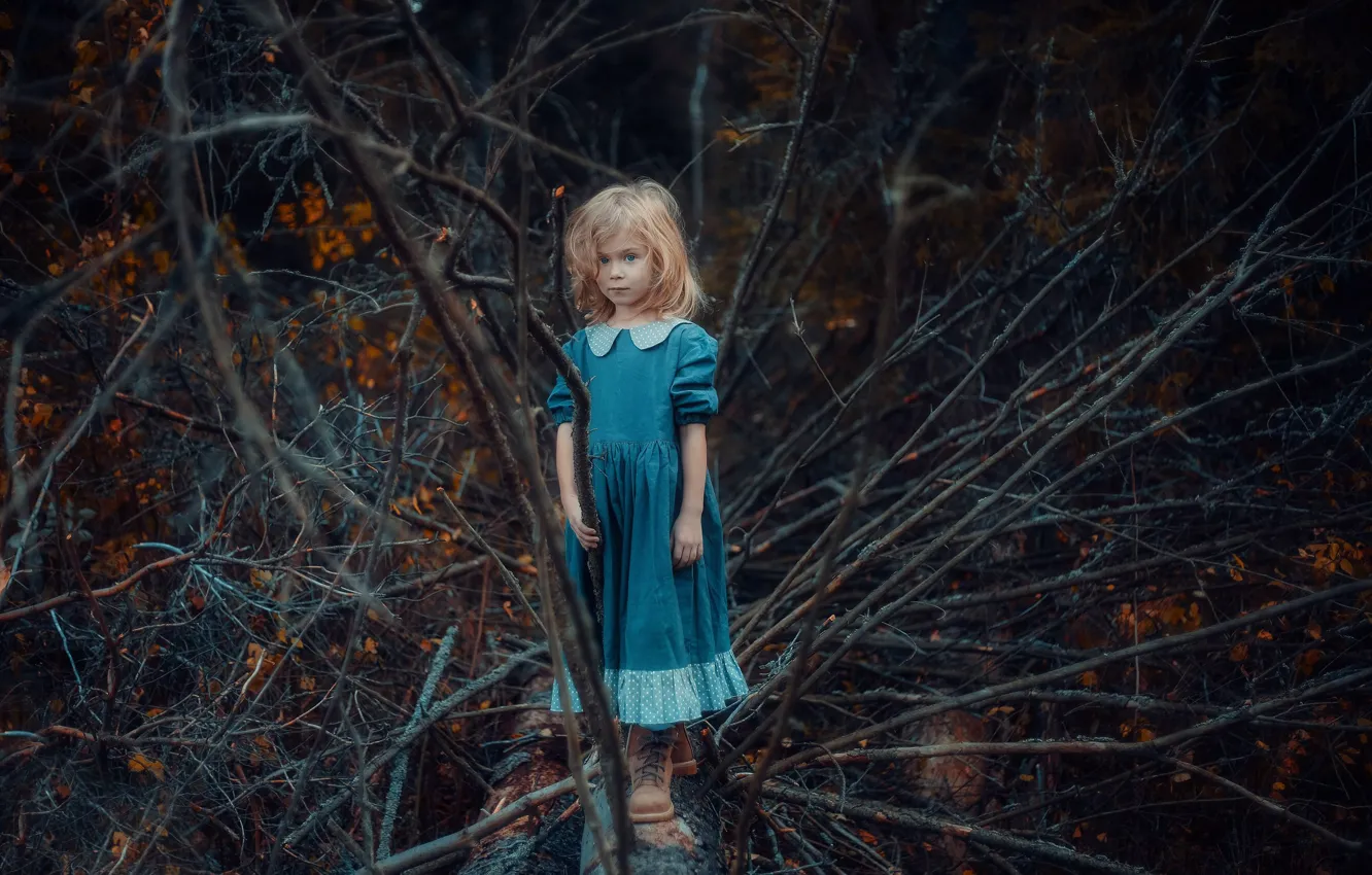 Фото обои лес, ветки, платье, девочка, голубоглазая